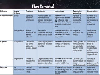 Plan Remedial
 