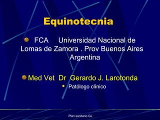 Equinotecnia
FCA Universidad Nacional de
Lomas de Zamora . Prov Buenos Aires
Argentina
Med Vet Dr Gerardo J. Larotonda
 Patólogo clìnico
Plan sanitario GL
 