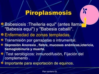 Plan sanitario GL
Piroplasmosis
Babesiosis :Theileria equi" (antes llamada
"Babesia equi") y "Babesia caballi".
Enfermedad de zonas templadas.
Transmisión por garrapatas o intrumental.
Depresión Anorexia , fiebre, mucosas anémicas,ictericia,
hemoglobinuria y muerte.
Test serológicos: inmunodifusión, Fijación del
complemento .
Importante para exportación de equinos.
 