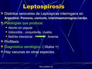 Plan sanitario GL
Leptospirosis
Distintos serovares de Leptospiras interrogans en
Argentina: Pomona, canícola, icterohaemorragiae,hardjo.
Patologías que produce:
 Aborto en yeguas
 Iridociclitis , conjuntivitis, Uveitis.
 Nefritis intersticial . Anemia
Profilaxis
Diagnóstico serológico. ( títulos +)
Hay vacunas en otras especies.
 