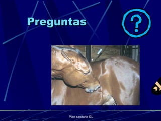 Plan sanitario GL
PreguntasPreguntas
 