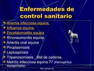 Plan sanitario GL
Enfermedades de
control sanitario
Anemia infecciosa equina.
Influenza equina
Encefalomielitis equina
Rinoneumonitis equina.
Arteritis viral equina
Piroplasmosis
Leptospirosis
Tripanosomiasis _Mal de caderas.
Metritis infecciosa equina 77 (Hemophilus
equigenitalis)
 