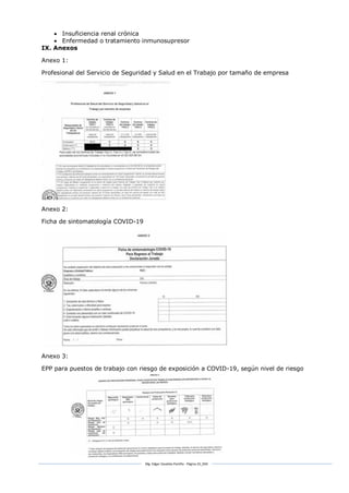 Mg. Edgar Zavaleta Portillo - Página 33_SDA
 Insuficiencia renal crónica
 Enfermedad o tratamiento inmunosupresor
IX. Anexos
Anexo 1:
Profesional del Servicio de Seguridad y Salud en el Trabajo por tamaño de empresa
Anexo 2:
Ficha de sintomatología COVID-19
Anexo 3:
EPP para puestos de trabajo con riesgo de exposición a COVID-19, según nivel de riesgo
 