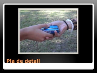 Pla de detall
 