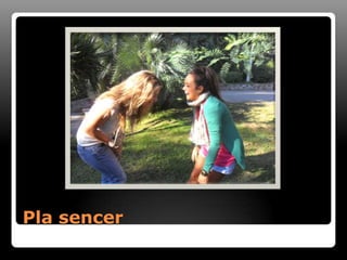 Pla sencer
 