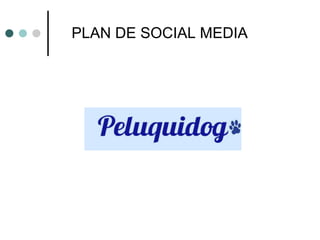 PLAN DE SOCIAL MEDIA
 