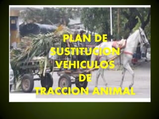 PLAN DE
SUSTITUCION
VEHICULOS
DE
TRACCION ANIMAL
 