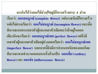 จะเห็นไดวาดอกไมสวนใหญมีโครงสรางครบ 4 สวน
เรียกวา ดอกสมบูรณ (complete flower) แตบางชนิดมีโครงสราง
หลักไมครบเรียกวา ดอกไมสมบูรณ (incomplete flower) และเมื่อ
พิจารณาเฉพาะเกสรตัวผูและเกสรตัวเมียพบวาถาอยูในดอก
เดียวกันจะเรียกวา ดอกสมบูรณเพศ (perfect flower) แตถามี
                                                      
เกสรตัวผูและเกสรตัวเมียอยูตางดอกเรียกวา ดอกไมสมบูรณเพศ
(imperfect flower) นอกจากนี้ยังมีการจําแนกชนิดของดอกโดย
พิจารณาจากจํานวนดอกบนหนึ่งกานเปน ดอกเดียว (solitary
                                               ่
flower) และ ดอกชอ (inflorescence flower)
 