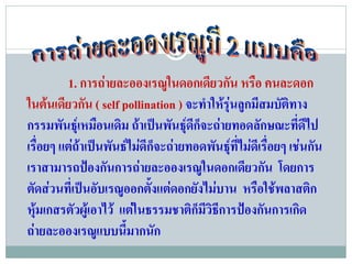 1. การถายละอองเรณูในดอกเดียวกัน หรือ คนละดอก
ในตนเดียวกัน ( self pollination ) จะทําใหรุนลูกมีสมบัติทาง
กรรมพันธุเหมือนเดิม ถาเปนพันธุดก็จะถายทอดลักษณะที่ดีไป
                                     ี
เรื่อยๆ แตถาเปนพันธไมดีก็จะถายทอดพันธุที่ไมดเี รื่อยๆ เชนกัน
เราสามารถปองกันการถายละอองเรณูในดอกเดียวกัน โดยการ
ตัดสวนที่เปนอับเรณูออกตั้งแตดอกยังไมบาน หรือใชพลาสติก
หุมเกสรตัวผูเอาไว แตในธรรมชาติก็มีวิธการปองกันการเกิด
                                         ี
ถายละอองเรณูแบบนีมากนัก
                      ้
 