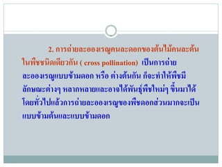 2. การถายละอองเรณูคนละดอกของตนไมคนละตน
ในพืชชนิดเดียวกัน ( cross pollination) เปนการถาย
ละอองเรณูแบบขามดอก หรือ ตางตนกัน ก็จะทําใหพืชมี
ลักษณะตางๆ หลากหลายและอาจไดพันธุพืชใหมๆ ขึ้นมาได
โดยทั่วไปแลวการถายละอองเรณูของพืชดอกสวนมากจะเปน
แบบขามตนและแบบขามดอก
 