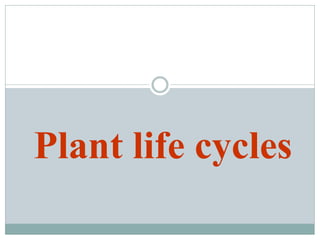 Plant life cycles
 
