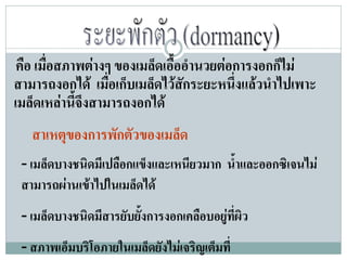 คือ เมื่อสภาพตางๆ ของเมล็ดเอื้ออํานวยตอการงอกก็ไม
สามารถงอกได เมื่อเก็บเมล็ดไวสกระยะหนึ่งแลวนําไปเพาะ
                                 ั
เมล็ดเหลานี้จึงสามารถงอกได
   สาเหตุของการพักตัวของเมล็ด
 - เมล็ดบางชนิดมีเปลือกแข็งและเหนียวมาก น้ําและออกซิเจนไม
 สามารถผานเขาไปในเมลดได
                      ็
 - เมล็ดบางชนิดมีสารยับยั้งการงอกเคลือบอยูที่ผิว
 - สภาพเอ็มบริโอภายในเมล็ดยังไมเจริญเต็มที่
 