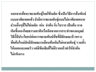 นอกจากพืชจะขยายพันธุโดยใชเมล็ด ซึ่งเปนวิธการสืบพันธ
                                                 ี
แบบอาศัยเพศแลว ยังมีการขยายพันธุแบบไมอาศัยเพศจาก
สวนอื่นๆที่ไมใชเมล็ด เชน ลําตน กิง ใบราก เปนตน อาจ
                                      ่
เกิดขึ้นเองโดยธรรมชาติหรือเกิดจากการกระทําของมนุษย
วิธีนี้มีประโยชนตอการขยายพันธพืชที่มีลักษณะดี เพราะ
พืชตนใหมมกมีลักษณะเหมือนตนเดิมไมกลายพันธุ รวมทั้ง
              ั
ใหดอกและผลเร็ว แตมีขอเสียที่ไมมีรากแกวทําใหลําตน
ไมแข็งแรง
 