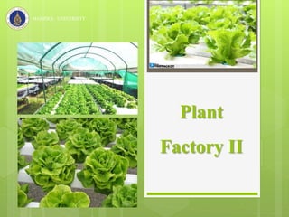 Plant
Factory II
MAHIDOL UNIVERSITY
 