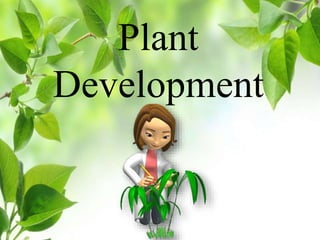 Plant
Development
 