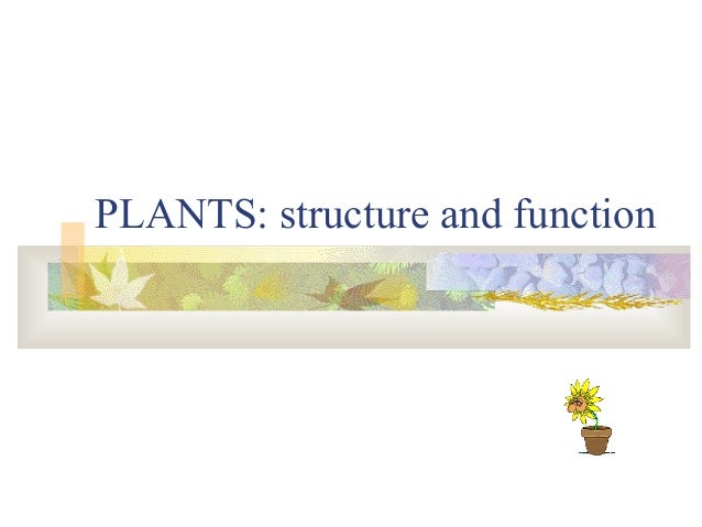 Plants Structure and Function