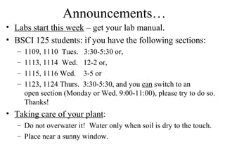 Announcements…
• Labs start this week – get your lab manual.
• BSCI 125 students: if you have the following sections:
– 1109, 1110 Tues. 3:30-5:30 or,
– 1113, 1114 Wed. 12-2 or,
– 1115, 1116 Wed. 3-5 or
– 1123, 1124 Thurs. 3:30-5:30, and you can switch to an
open section (Monday or Wed. 9:00-11:00), please try to do so.
Thanks!
• Taking care of your plant:
– Do not overwater it! Water only when soil is dry to the touch.
– Place near a sunny window.
 
