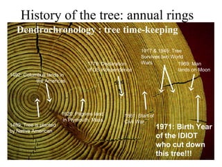 History of the tree: annual rings
1489: Tree is planted
by Native American
1492: Columbus lands in
the Americas
1620: Pilgrims land
in Plymouth, Mass.
1776: Declaration
of US independence
1861: Start of
Civil War
1969: Man
lands on Moon
1917 & 1945: Tree
Survives two World
Wars
1971: Birth Year
of the IDIOT
who cut down
this tree!!!
Dendrochronology : tree time-keeping
 