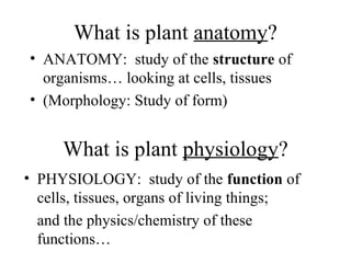What is plant anatomy?
• ANATOMY: study of the structure of
organisms… looking at cells, tissues
• (Morphology: Study of form)
What is plant physiology?
• PHYSIOLOGY: study of the function of
cells, tissues, organs of living things;
and the physics/chemistry of these
functions…
 