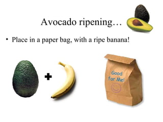 Avocado ripening…
• Place in a paper bag, with a ripe banana!
 