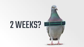 Plant An App Pitch Deck