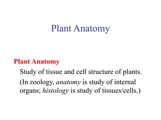 Plant Anatomy
Plant Anatomy
Study of tissue and cell structure of plants.
(In zoology, anatomy is study of internal
organs; histology is study of tissues/cells.)
 