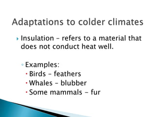 Adaptations to colder climatesInsulation – refers to a material that does not conduct heat well.Examples:Birds – feathersWhales – blubberSome mammals - fur