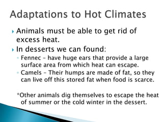 Animals must be able to get rid of excess heat.In desserts we can found:Fennec – have huge ears that provide a large surface area from which heat can escape.Camels – Their humps are made of fat, so they can live off this stored fat when food is scarce.*Other animals dig themselves to escape the heat     of summer or the cold winter in the dessert.Adaptations to Hot Climates