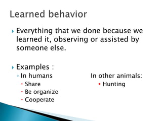 Everything that we done because we learned it, observing or assisted by someone else.Examples :In humans			In other animals:Share				     HuntingBe organizeCooperateLearned behavior