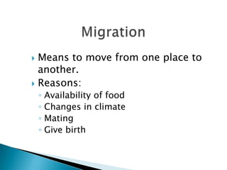MigrationMeans to move from one place to another.Reasons:Availability of foodChanges in climateMating Give birth