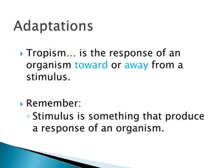AdaptationsTropism… is the response of an organism toward or away from a stimulus.Remember:Stimulus is something that produce a response of an organism.