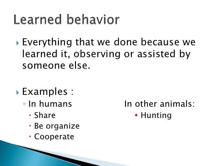 Plant And Animal Adaptation