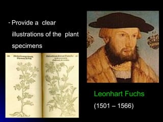 Leonhart Fuchs (1501 – 1566) Provide a  clear  illustrations of the  plant  specimens 