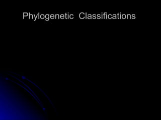 Phylogenetic  Classifications 