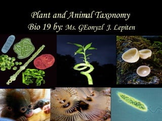Plant and Animal Taxonomy  Bio 19 by:  Ms. GEonyzl  J. Lepiten 