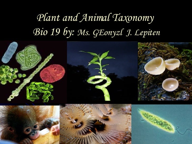 Plant And Animal Taxonomy