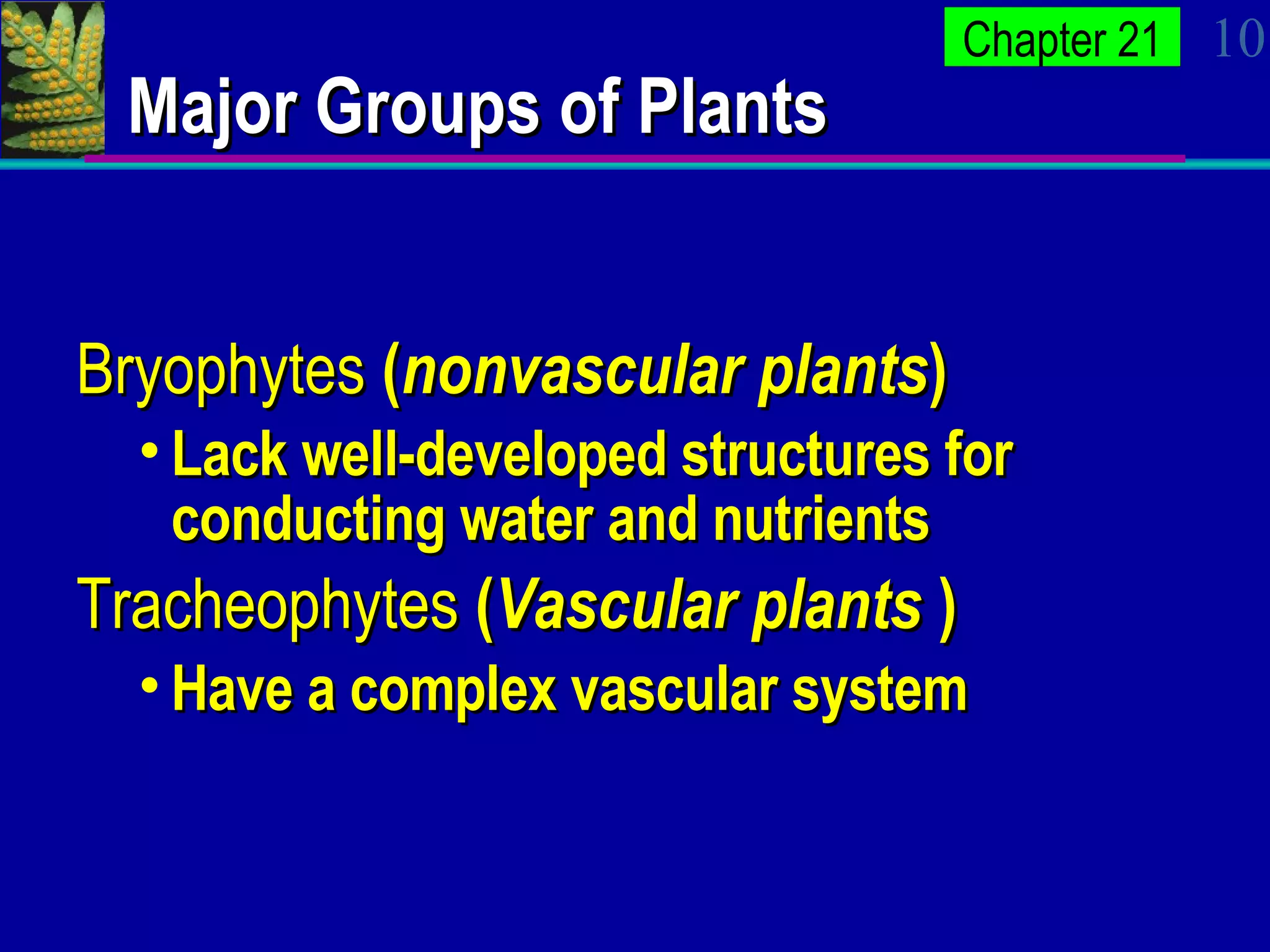 Major Groups of Plants Bryophytes  ( nonvascular plants ) Lack well-developed structures for conducting water and nutrients Tracheophytes  ( Vascular plants  ) Have a complex vascular system 