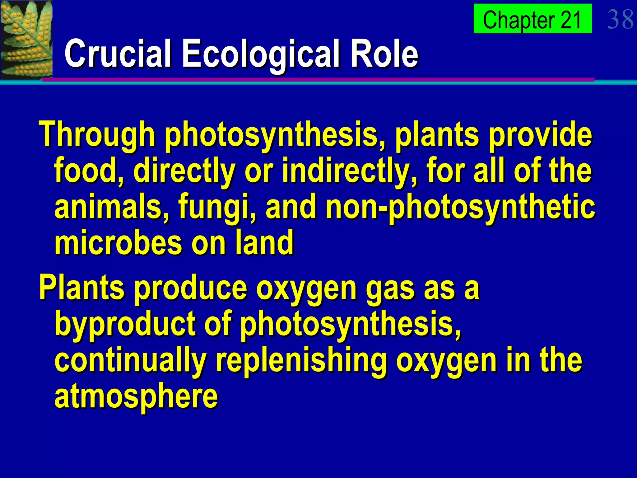 Crucial Ecological Role Through photosynthesis, plants provide food, directly or indirectly, for all of the animals, fungi, and non-photosynthetic microbes on land Plants produce oxygen gas as a byproduct of photosynthesis, continually replenishing oxygen in the atmosphere  