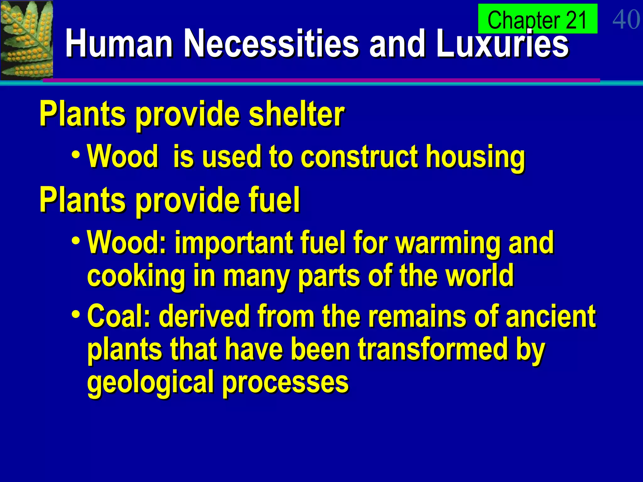 Human Necessities and Luxuries Plants provide shelter Wood  is used to construct housing  Plants provide fuel Wood: important fuel for warming and cooking in many parts of the world Coal: derived from the remains of ancient plants that have been transformed by geological processes 