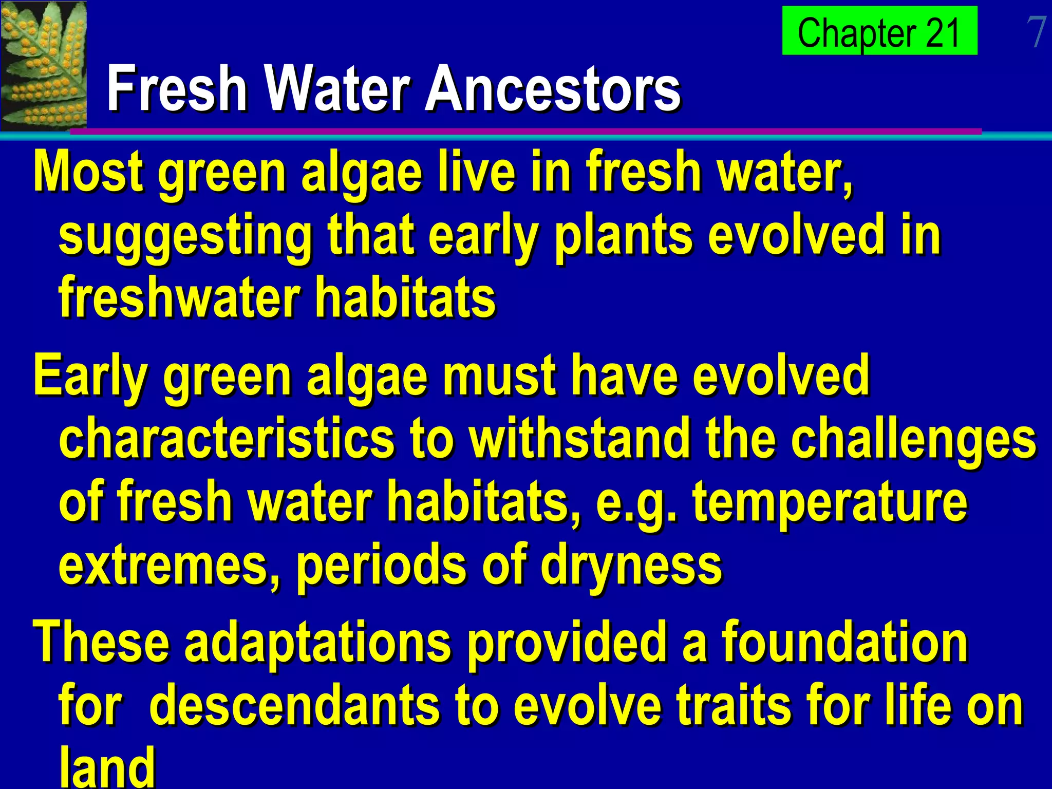 Fresh Water Ancestors Most green algae live in fresh water, suggesting that early plants evolved in freshwater habitats Early green algae must have evolved characteristics to withstand the challenges of fresh water habitats, e.g. temperature extremes, periods of dryness These adaptations provided a foundation for  descendants to evolve traits for life on land 