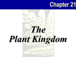 The Plant Kingdom 