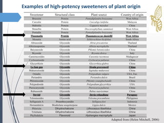 Examples of high-potency sweeteners of plant origin
Sweetener Structural class Plant source Country of origin
Brazzein Protein Pentadiplandra brazzeana West Africa
Curculin Protein Curculigo latifolia Malaysia
Mabinlin Protein Capparis masakai China
Monellin Protein Discoreophyllum cumminsii West Africa
Pentadin Protein Pentadiplandra brazzeana West Africa
Thaumatin Protein Thaumatococcus daniellii West Africa
Monatin Amino acid Schlerochiton ilicifolius South Africa
Abrusoside Glycoside Abrus precatorius Thailand
Albiziasaponins Glycoside Albizia myriophylla Thailand
Baiyunoside Glycoside Phlomis betonicoides China
Bryoside Glycoside Bryonia dioica Italy
Cussoracosides Glycoside Cussonia racemosa Madagascar
Cyclocarioside Glycoside Cyclocarya paliurus China
Glycyrrhizin Glycoside Glycyrrhiza glabra China
Lo han guo Glycoside Siratia grosvenorii China
Mukurozioside Glycoside Sapindus mukurossi China
Osladin Glycoside Polypodium vulgare USA, Eur.
Periandrin Glycoside Periandra dulcis Brazil
Phlomisoside Glycoside Phlomis younghusbandii China
Polypodoside Glycoside Polypodium glycyrrhiza USA
Pterocaryoside Glycoside Pterocarya paliurus China
Rubusoside Glycoside Rubus suavissimus China
Steviol Glycoside Stevia rebaudiana Paraguay
Telosmosides Glycoside Telosma procumbens Philippines
Selligueain A Proanthocyanidin Selliguea feei Indonesia
Hernandulcin Bisabolane sesquiterpene Lippia dulcis Mexico
Phlorizin Dihydrochalcone Lithocarpus litseifolius China
Trilobatin Dihydrochalcone Lithocarpus litseifolius China
Phyllodulcin Flavonoid Hydrangea macrophylla Japan
Adapted from (Helen Mitchell, 2006)
 