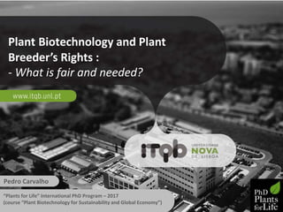 Plant Biotechnology and Plant
Breeder’s Rights :
- What is fair and needed?
Pedro Carvalho
“Plants for Life” International PhD Program – 2017
(course “Plant Biotechnology for Sustainability and Global Economy”)
 