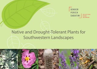 April is Landscape Architecture Month
Native and Drought-Tolerant Plants for
Southwestern Landscapes
 