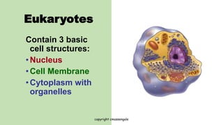PLANT-CELL-AND-ANIMAL-CELL.ppt