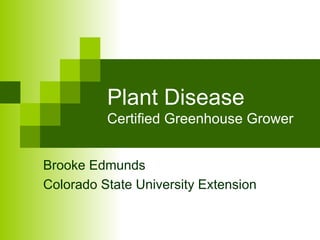 Plant Disease Certified Greenhouse Grower Brooke Edmunds Colorado State University Extension 