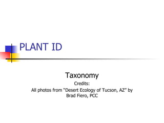 PLANT ID Taxonomy Credits: All photos from “Desert Ecology of Tucson, AZ” by Brad Fiero, PCC 