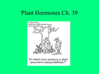 Plant Hormones Ch. 39
 