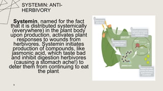 Biology 1 Plant-hormones-and-sensory-systems.pptx