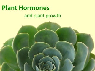 Plant Hormones
and plant growth
 
